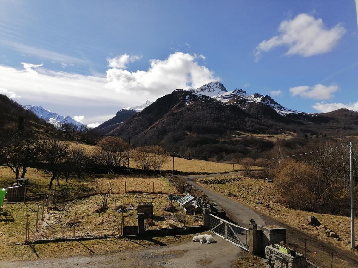 Aux D'Estaing Croises, Gite De Montagne Accessible A Tous Luaran gambar